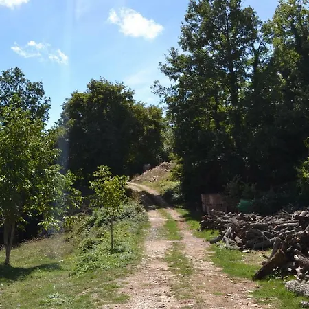 L'iperico Stanza Della Regina Boudicca San Vittorino (Isernia)